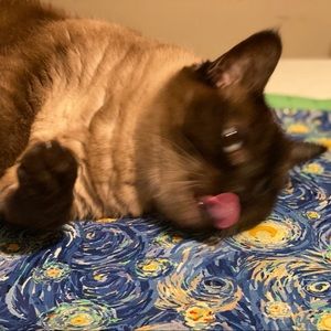 Meet your Posher, Eva